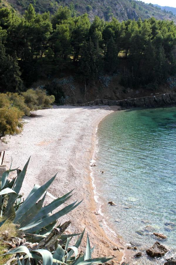 Apartments By The Sea Komiza, Vis - 8533 Dış mekan fotoğraf